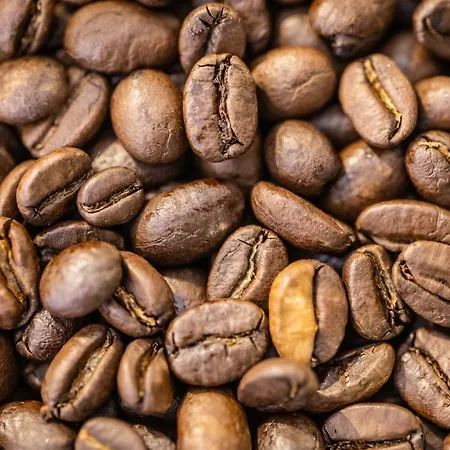 Apartment Familien Freundlich, 2 Kingsizebetten, Naehe Altstadt Und Dom