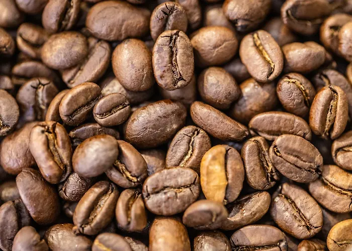 Lejlighed Familien Freundlich, 2 Kingsizebetten, Naehe Altstadt Und Dom